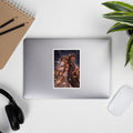 Manga Character Stickers | Anime Art Sticker